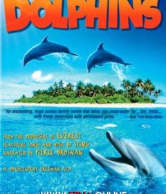 فيلم Dolphins 2000 مترجم