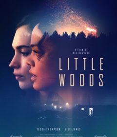 فيلم Little Woods 2018 مترجم