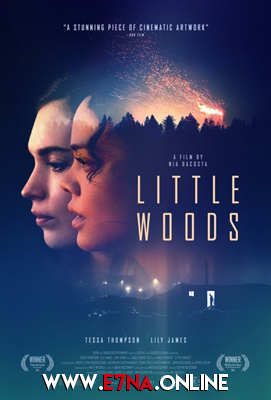 فيلم Little Woods 2018 مترجم
