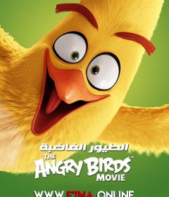 فيلم Angry Birds 2016 Arabic مدبلج