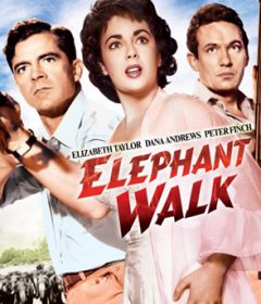 فيلم Elephant Walk 1954 مترجم