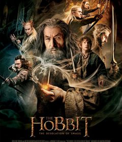 فيلم The Hobbit The Desolation of Smaug 2013 مترجم