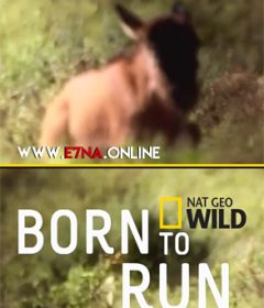 فيلم Born to Run 2017 مترجم