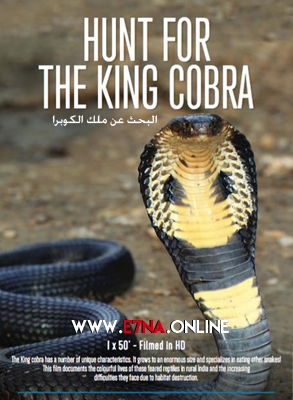 فيلم Search for the King Cobra 2015 مترجم