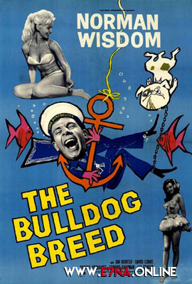 فيلم The Bulldog Breed 1960 مترجم