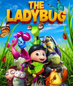 فيلم The Ladybug 2018 مترجم