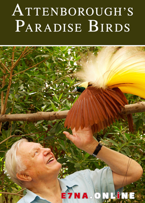 فيلم Attenborough’s Paradise Birds 2015 مترجم