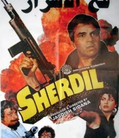 فيلم Sher Dil 1990 مترجم