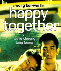 فيلم Happy Together 1997 مترجم