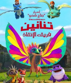 فيلم Dragons Rescue Riders Secrets of the Songwing 2020 Arabic مدبلج