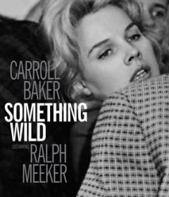فيلم Something Wild 1961 مترجم