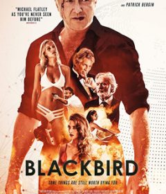 فيلم Blackbird 2020 مترجم