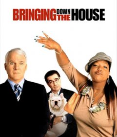 فيلم Bringing Down the House 2003 مترجم