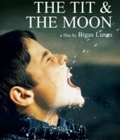 فيلم The Tit and the Moon 1994 مترجم