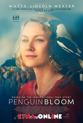 فيلم Penguin Bloom 2020 مترجم