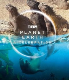 فيلم Planet Earth A Celebration 2020 مترجم