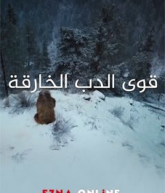 فيلم قوى الدب الخارقه مدبلج