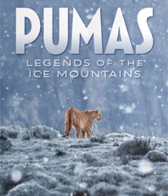 فيلم Pumas Legends of the Ice Mountains 2021 مترجم