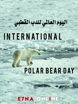 فيلم اليوم العالمي للدب القطبي مدبلج