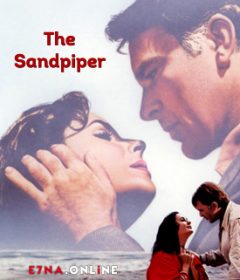 فيلم The Sandpiper 1965 مترجم