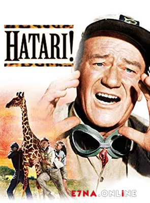 فيلم Hatari! 1962 مترجم
