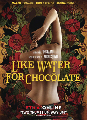 فيلم Like Water for Chocolate 1992 مترجم