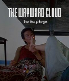 فيلم The Wayward Cloud 2005 مترجم