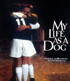 فيلم My Life as a Dog 1985 مترجم