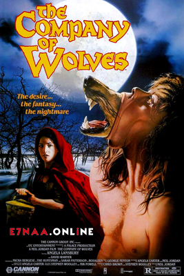 فيلم The Company of Wolves 1984 مترجم