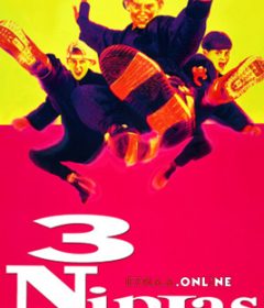 فيلم 3 Ninjas 1992 مترجم