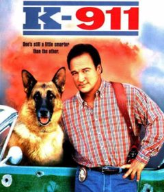 فيلم K-911 1999 مترجم