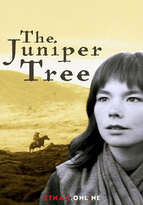 فيلم The Juniper Tree 1990 مترجم
