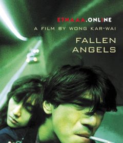 فيلم Fallen Angels 1995 مترجم