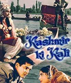 فيلم Kashmir Ki Kali 1964 مترجم