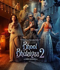 فيلم Bhool Bhulaiyaa 2 2022 مترجم