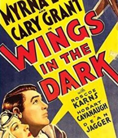 فيلم Wings in the Dark 1935 مترجم