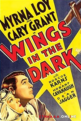فيلم Wings in the Dark 1935 مترجم