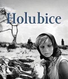 فيلم Holubice 1960 مترجم