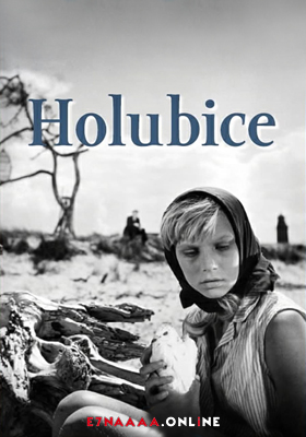 فيلم Holubice 1960 مترجم