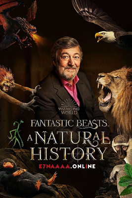 فيلم Fantastic Beasts A Natural History 2022 مترجم