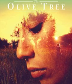 فيلم The Olive Tree 2016 مترجم