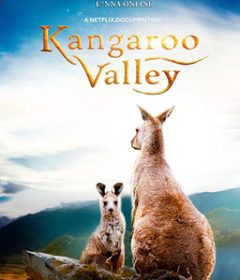 فيلم Kangaroo Valley 2022 مترجم