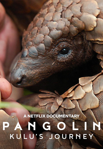فيلم Pangolin Kulu’s Journey 2025 مترجم