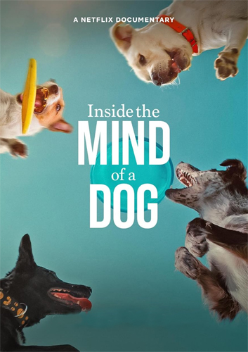 فيلم Inside the Mind of a Dog 2024 مترجم
