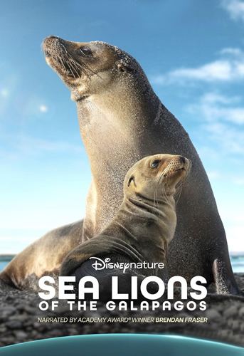 فيلم Sea Lions of the Galapagos 2025 مترجم