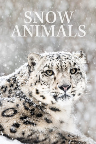 فيلم Snow Animals 2019 مترجم