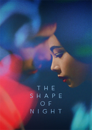 فيلم The Shape of Night 1964 مترجم