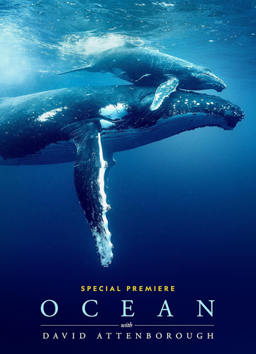 فيلم Ocean with David Attenborough 2025 مترجم