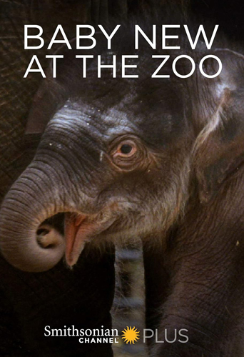 فيلم Baby New at the Zoo 2007 مترجم