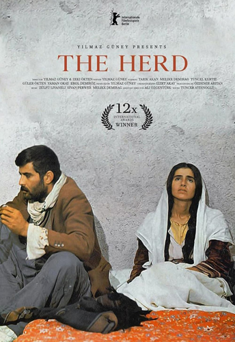 فيلم The Herd 1978 مترجم